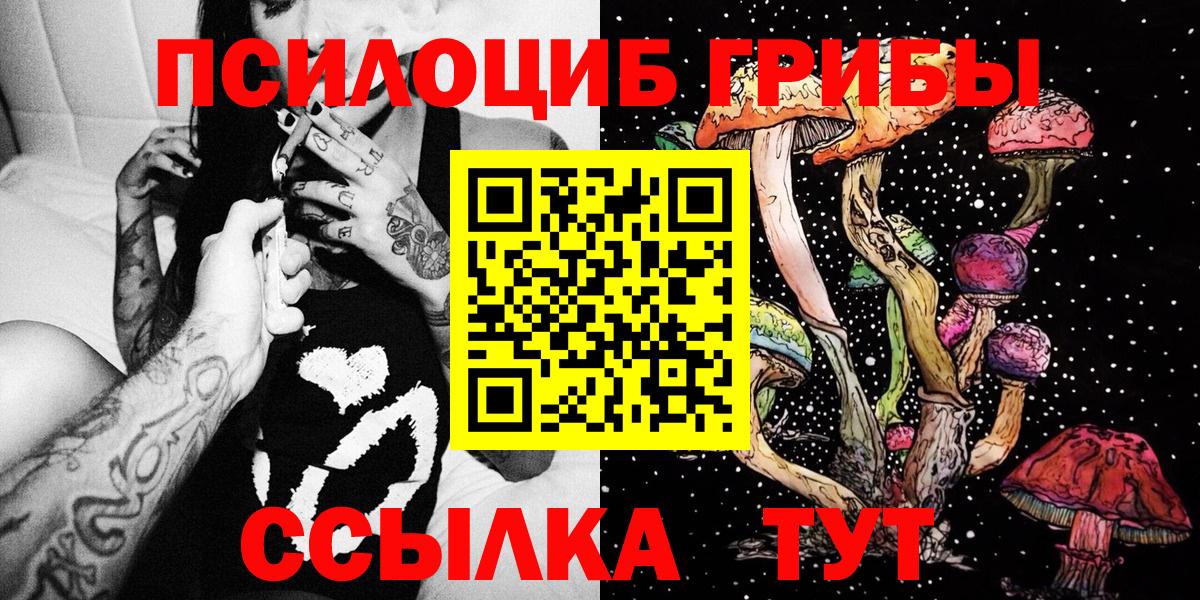 Псилоцибиновые грибы мицелий  Вход с VPN  Ульяновск 
